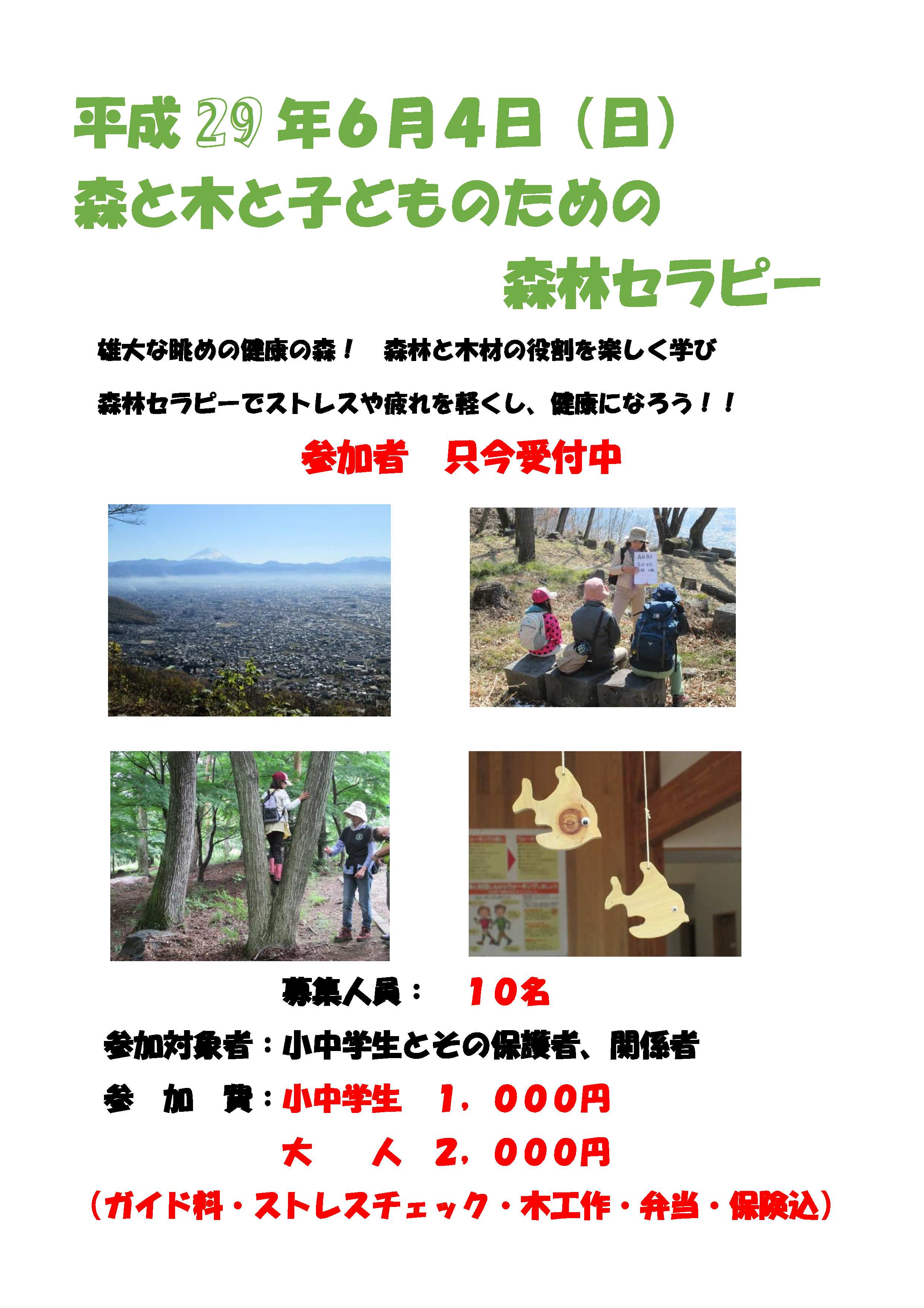 H29森と木と子どものための森林セラピー　案内パンフ-1